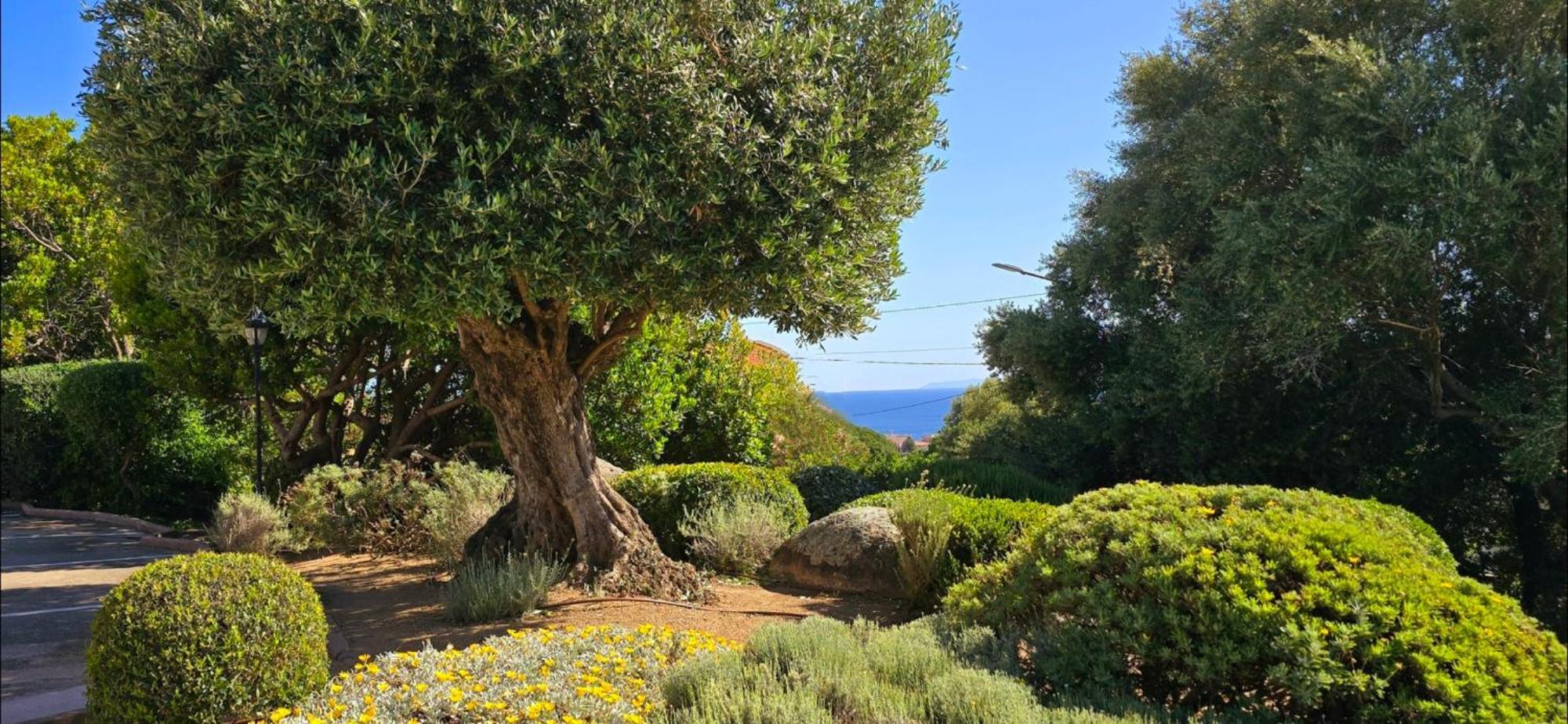 Hotel Cala Di L'Oru LʼÎle-Rousse Екстериор снимка